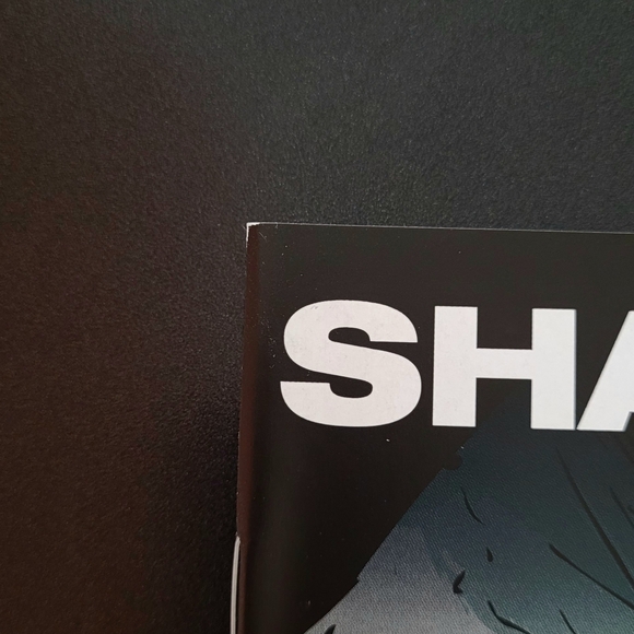 Shadowman #2 - Picture 4 of 7